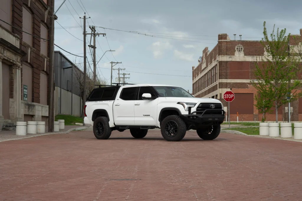 Venturous white tundra-7